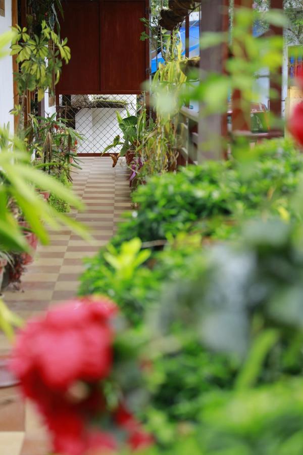 テッカディ Periyar Woods Bed & Breakfast エクステリア 写真
