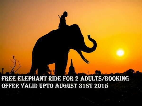 テッカディ Periyar Woods Bed & Breakfast エクステリア 写真